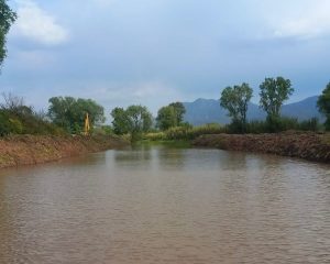 *Hallazgo de tres nuevos manantiales consolidan rescate del lago de Pátzcuaro: Bedolla* 