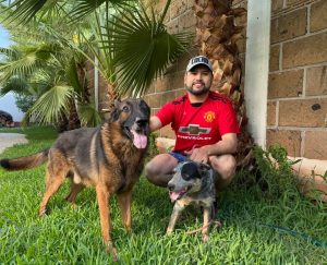 *Octavio Ocampo resalta importancia de creación de Institutos Municipales de Protección Animal; propuesta que hizo llegar al pleno*